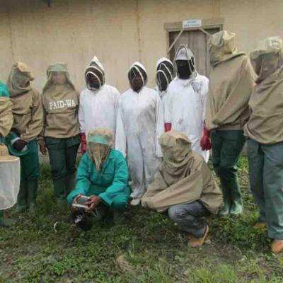 Bee Farming 22